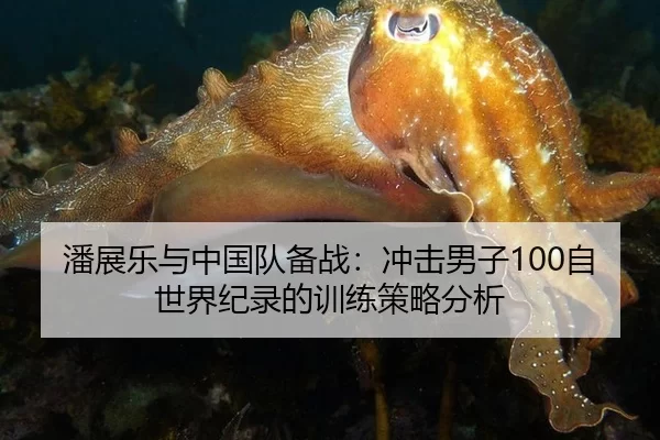 潘展乐与中国队备战：冲击男子100自世界纪录的训练策略分析